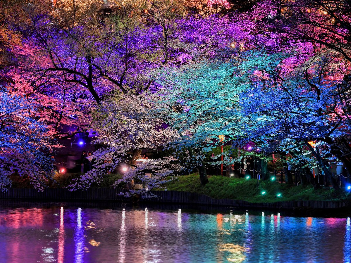 🏞️ 오이케 공원 (오오이케 코우엔) 이미지 7